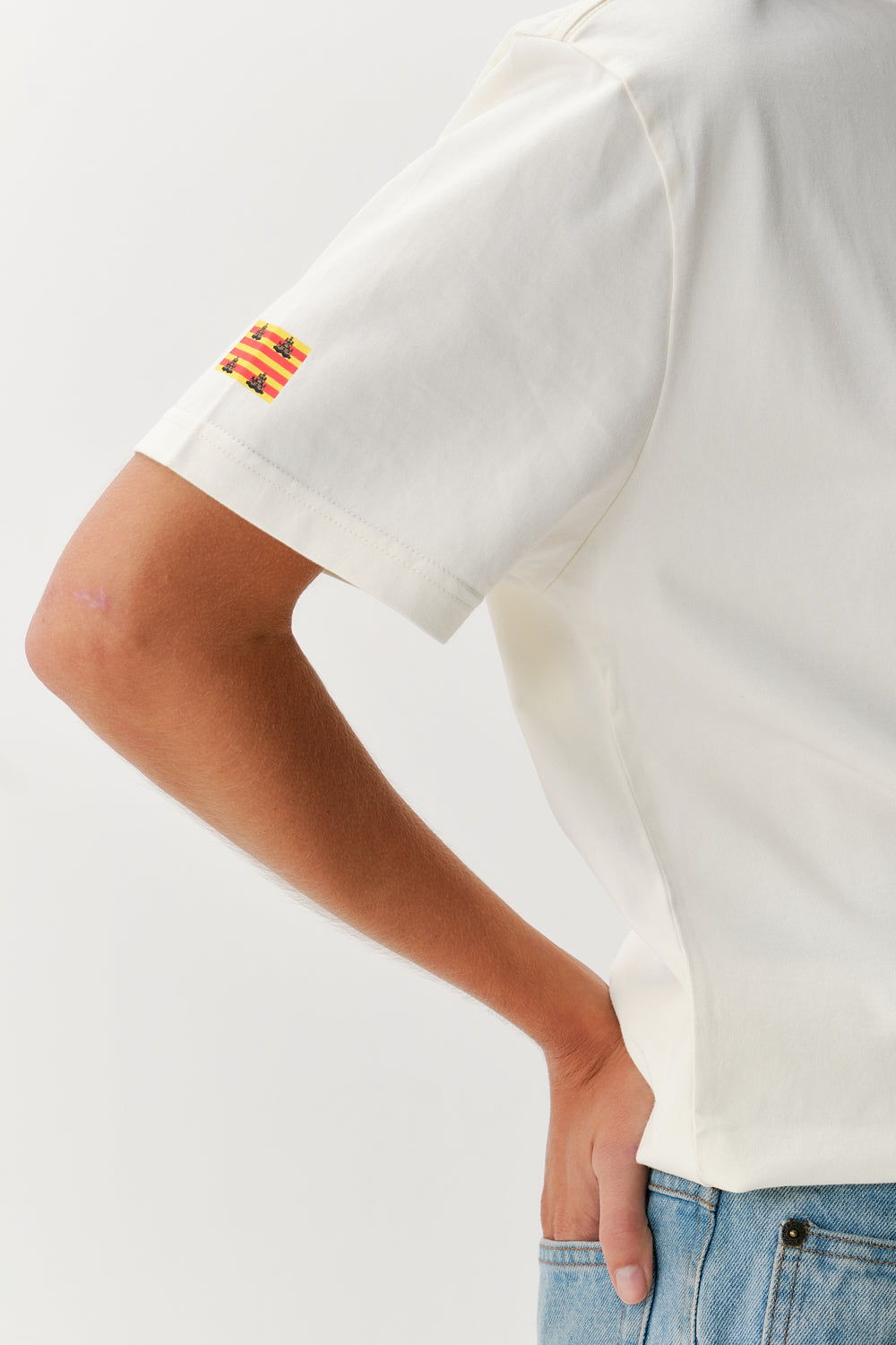 Camiseta Sushi Club IBSC Flag Relaxed V2