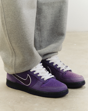 Nike Dunk Low SB Purple Lobster