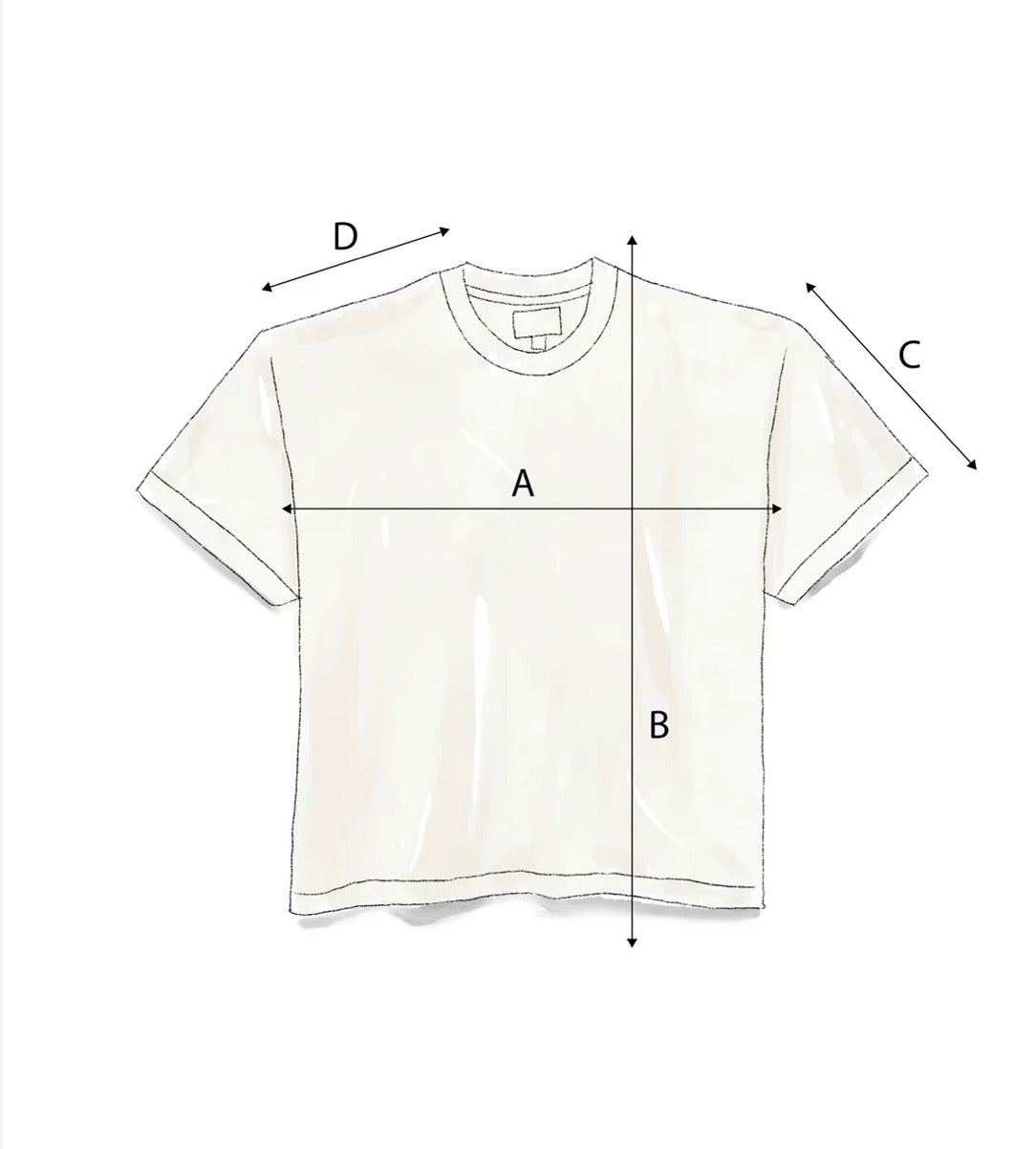 Camiseta Welcome Regular Fit PostCard Chiuahua
