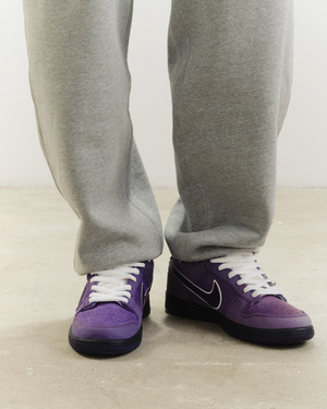 Nike Dunk Low SB Purple Lobster